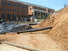 University of Tennessee Lake Loudoun Plaza/Pat Summitt Feature Wall