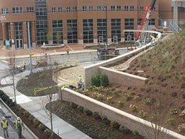 University of Tennessee Lake Loudoun Plaza/Pat Summitt Feature Wall